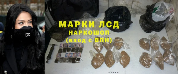 ГАЛЛЮЦИНОГЕННЫЕ ГРИБЫ Няндома