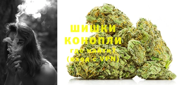 ГАЛЛЮЦИНОГЕННЫЕ ГРИБЫ Няндома