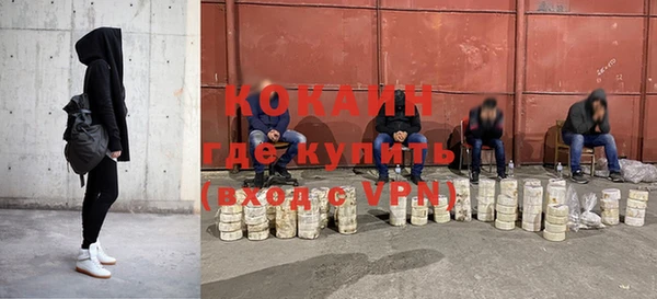 ГАЛЛЮЦИНОГЕННЫЕ ГРИБЫ Няндома