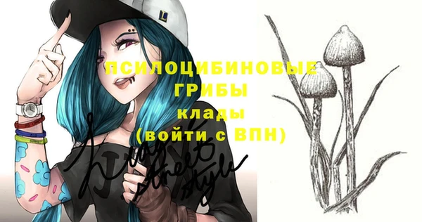 синтетический гашиш Нязепетровск
