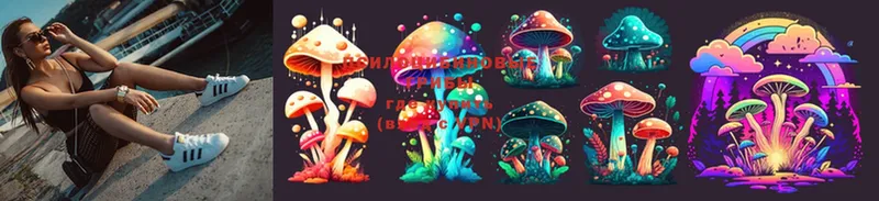 OMG ССЫЛКА  как найти закладки  Югорск  Псилоцибиновые грибы Psilocybine cubensis 