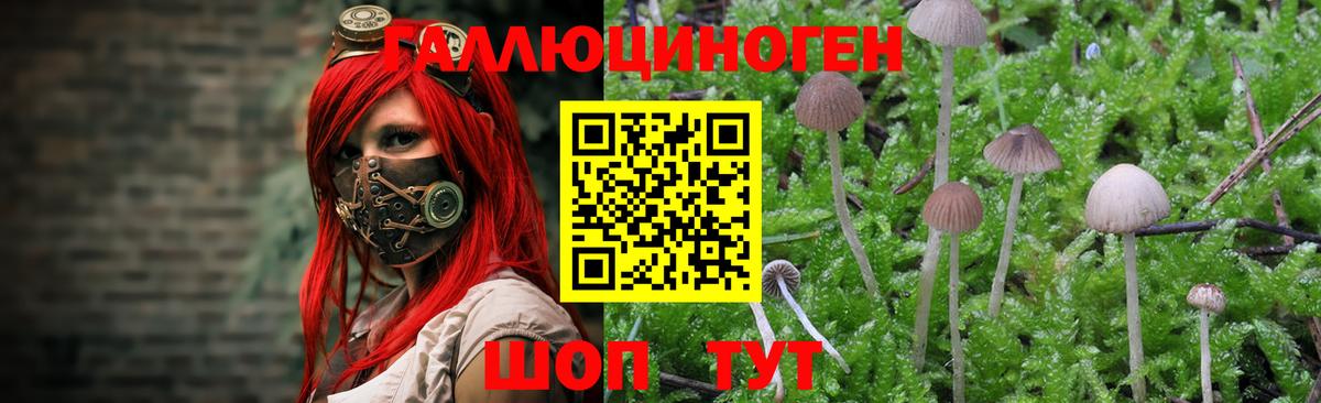 Псилоцибиновые грибы ЛСД Югорск
